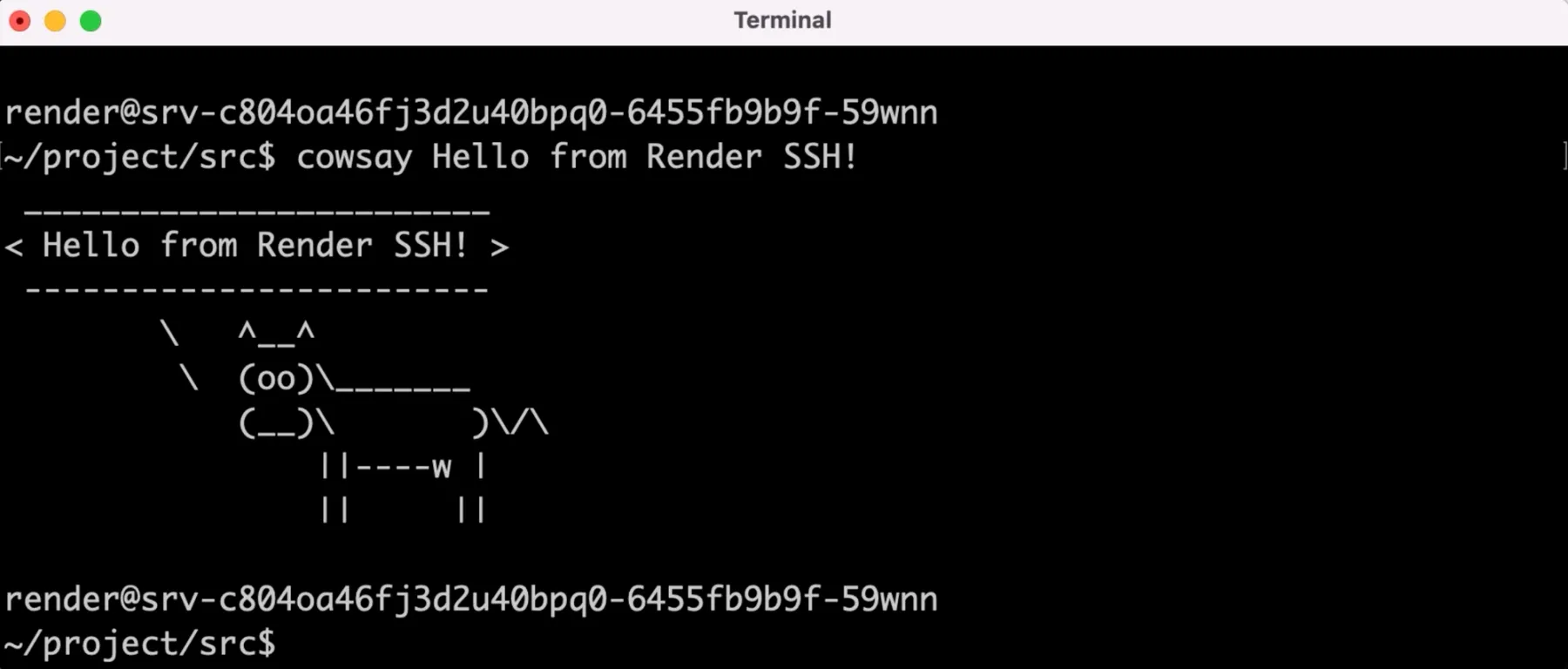 SSHing into a Web Service on Render