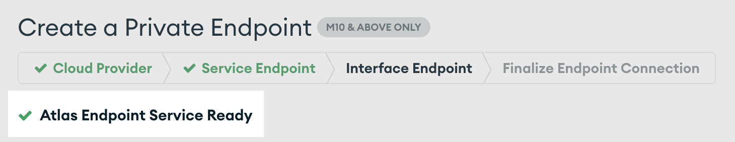 The Interface Endpoint tab in the Atlas UI